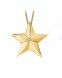 Asche Anhänger 'Stern' 14-Karat-Gold mit Diamanten