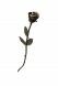 Bronzekleinurne 'Rose'