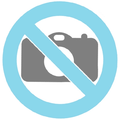 Asche Bildramen Sind Besondere Tierurnen Fur Hunde Und Katzen Urnen Tierurnen Asche Anhanger Schmuck In Osterreich