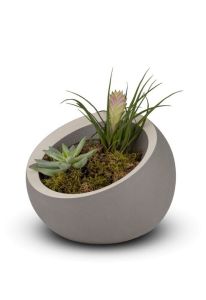 Porzellanurne „Terra“ - dunkelgrau mit weißem Akzent