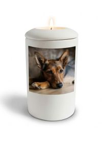 Satinweiße Hundeurne mit Bild, personalisierbar