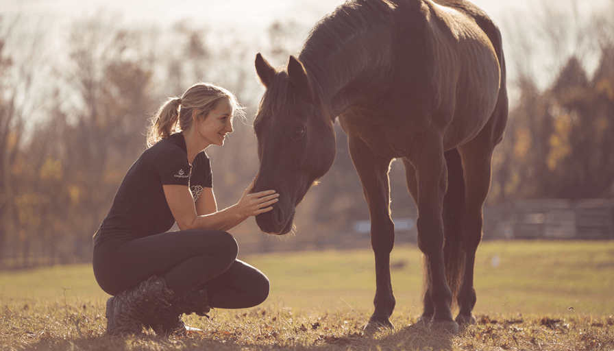 Wenn ein Pferd geht: Orientierung und Würde im Abschied